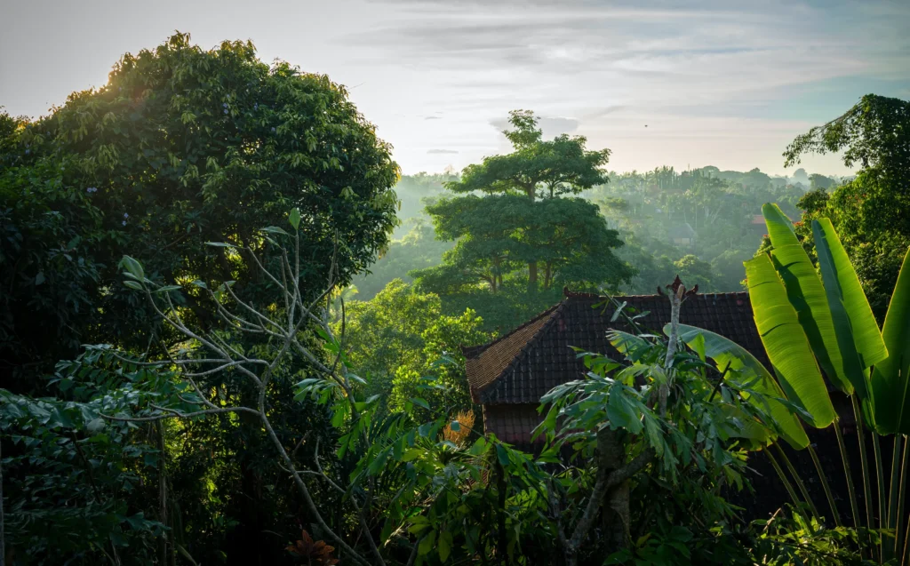 Bester Übernachtungsort in Ubud, Bali