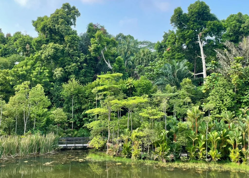 Botanischer Garten in Singapur