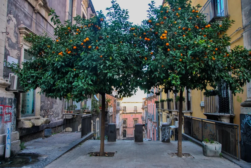 Catania auf Sizilien