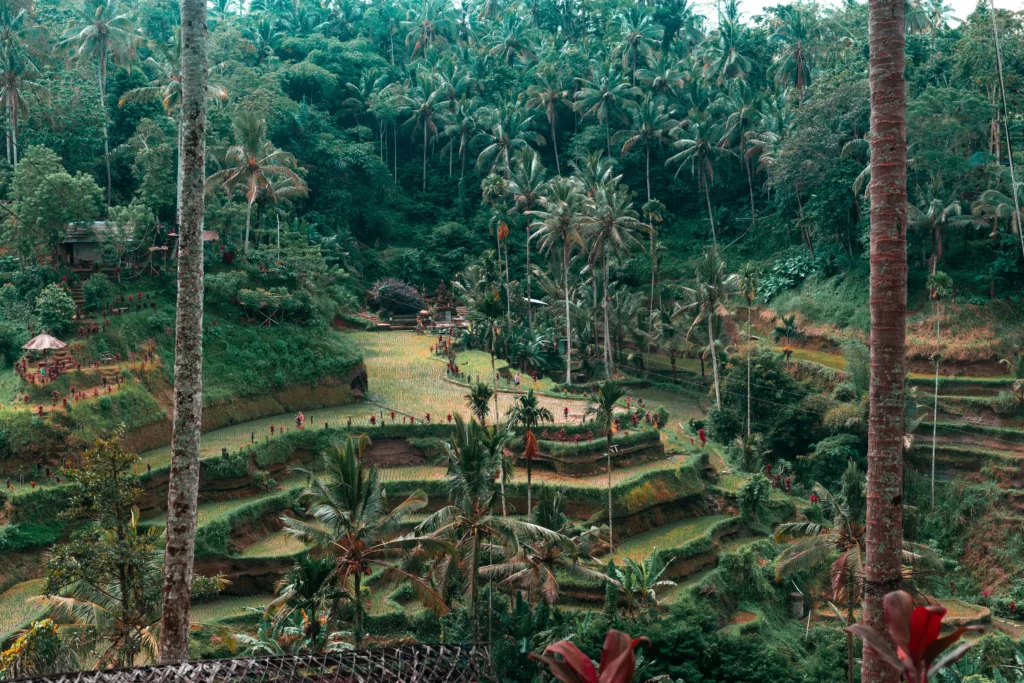 Unterkunftsblick in Ubud, Bali