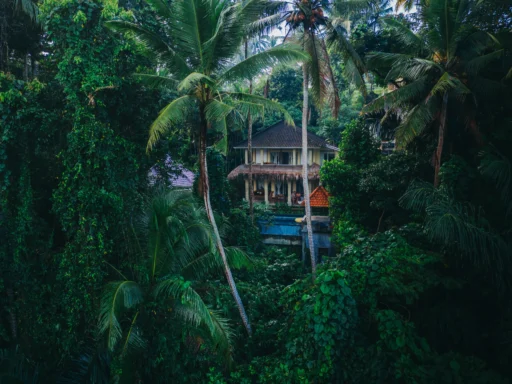 Wo übernachten in Ubud, Bali