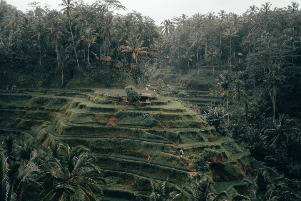 Wo übernachten in Ubud oder Tegallalang in Bali, Indonesien